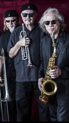 Blues Brothers Horns